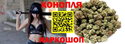 стаф Будённовск