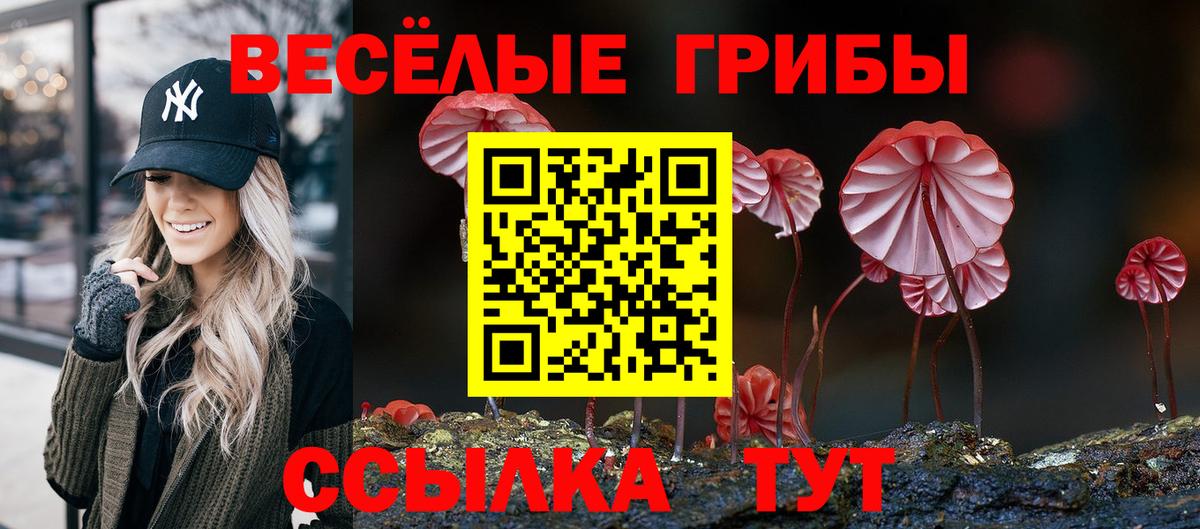 Псилоцибиновые грибы Psilocybine cubensis  Вход с VPN  Черняховск 